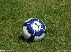 体育,资讯,678体育,678体育平台,678体育官方网站,678体育登录入口,678体育app下载