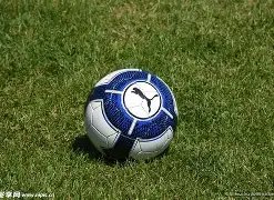 揭秘,关键战,天津队冲破,678体育平台,678体育官方网站,678体育登录入口,678体育app下载