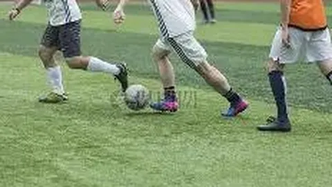 678体育 产品 091213 gfq