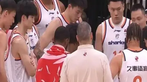 678体育 产品 084310 d74